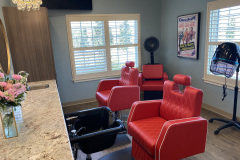 Salon-2